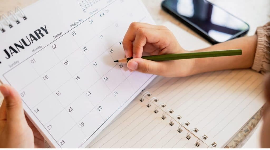 January newborn care planning timeline for expecting families