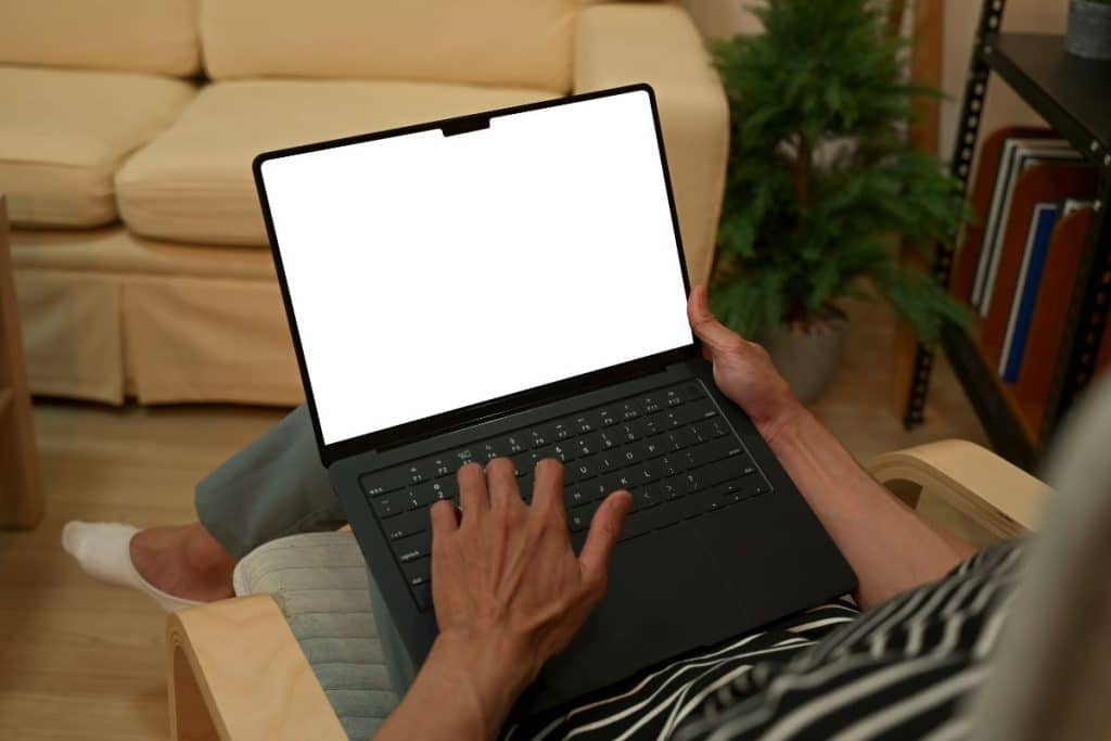 Laptop screen showing many nanny applications and messages