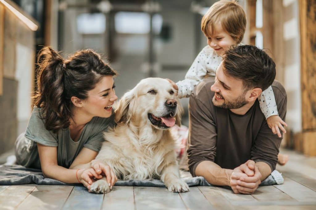 successful nanny agency placement